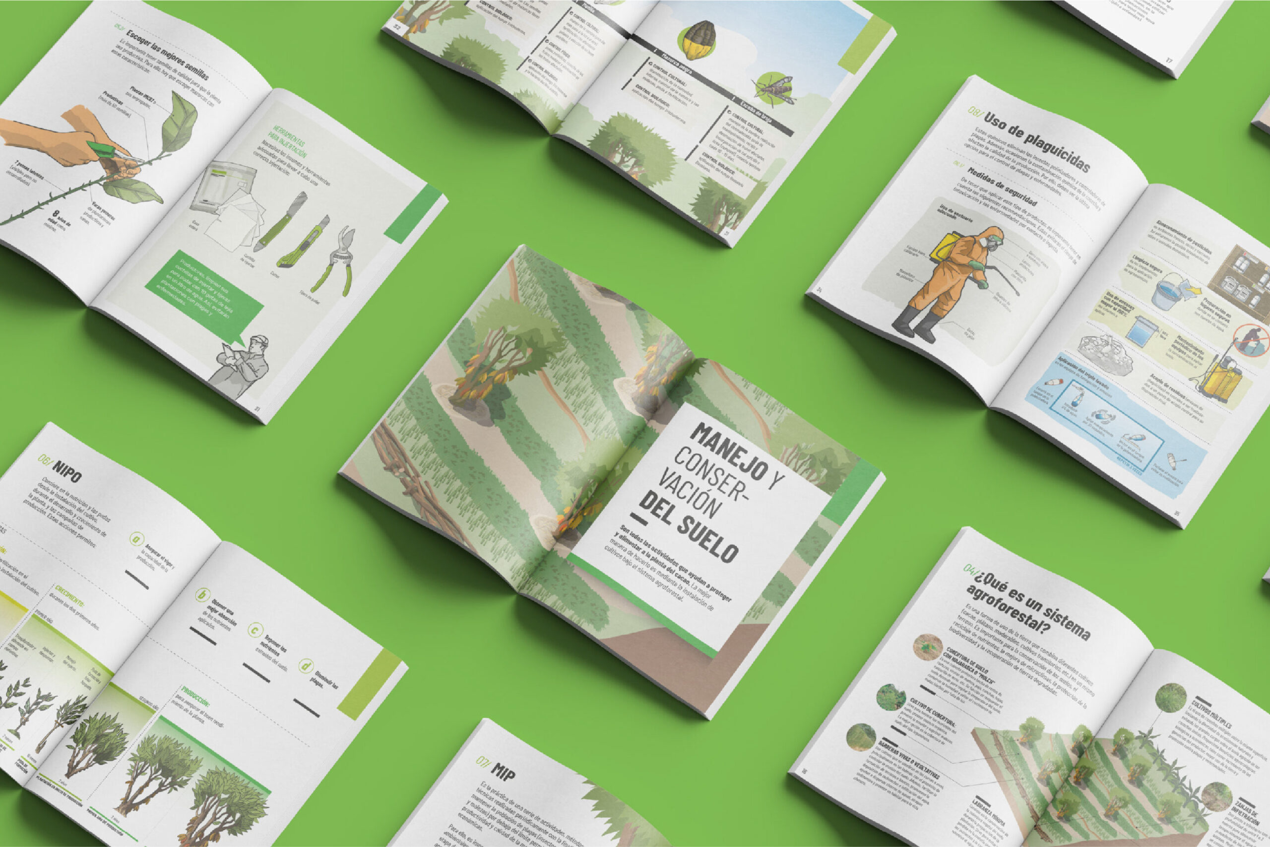 Fichas técnicas – Alianza Cacao