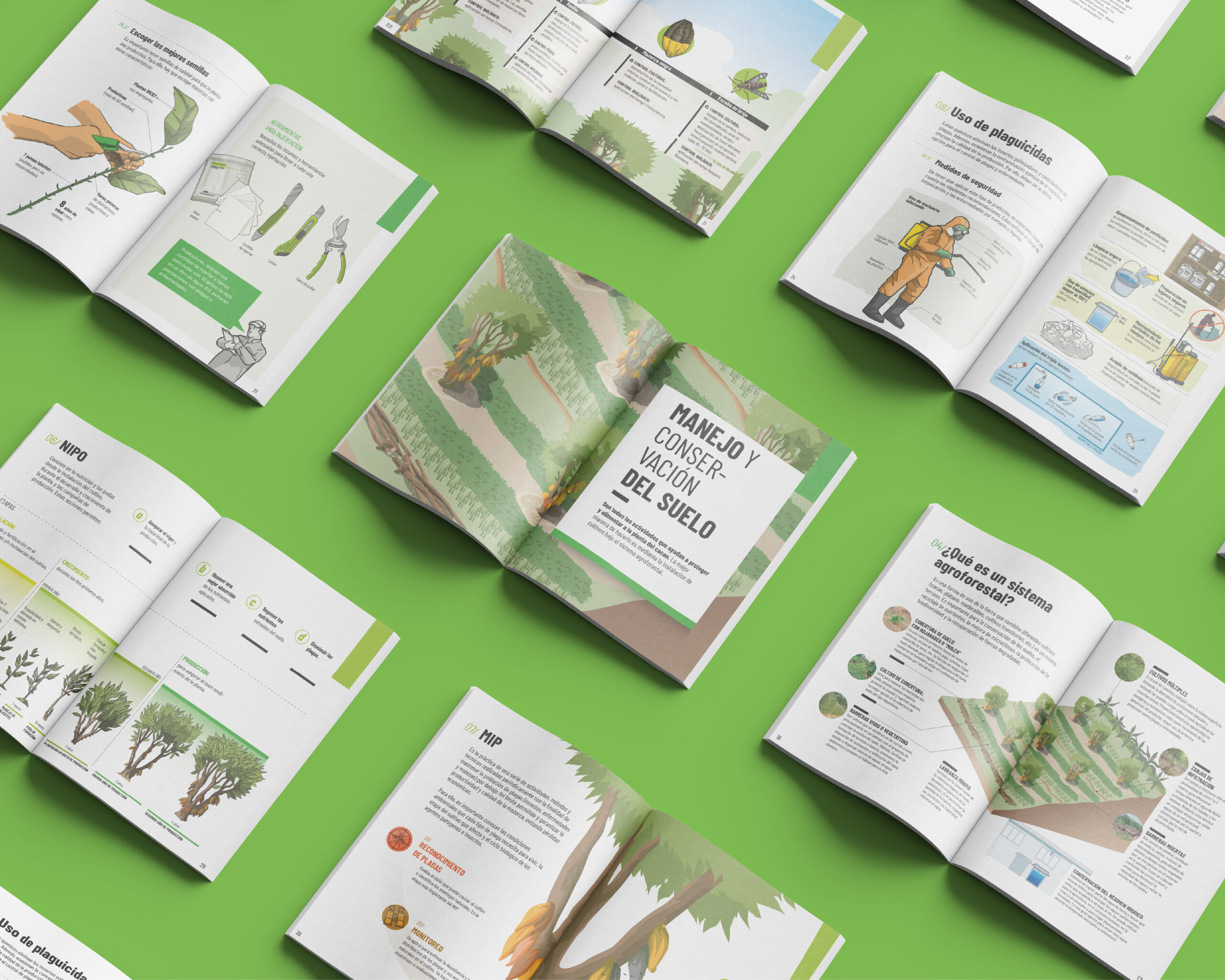 Fichas técnicas – Alianza Cacao