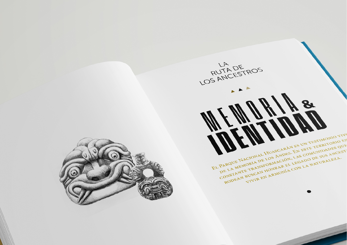 000Mesa de trabajo 1 copia 9