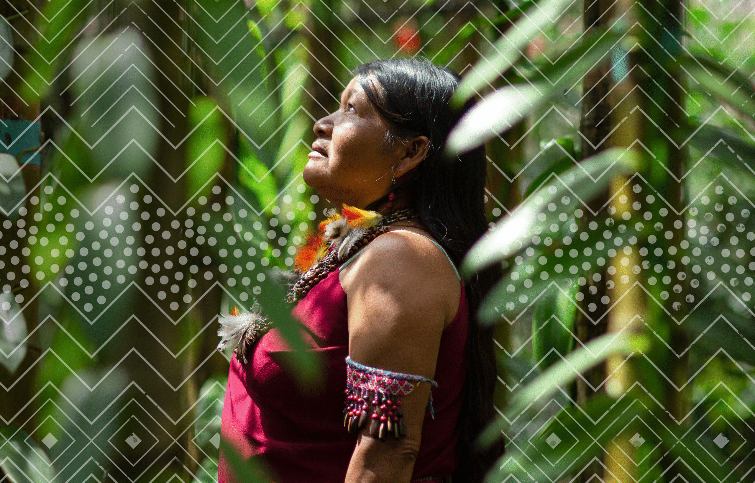 Shampuyacu – Conservación Internacional