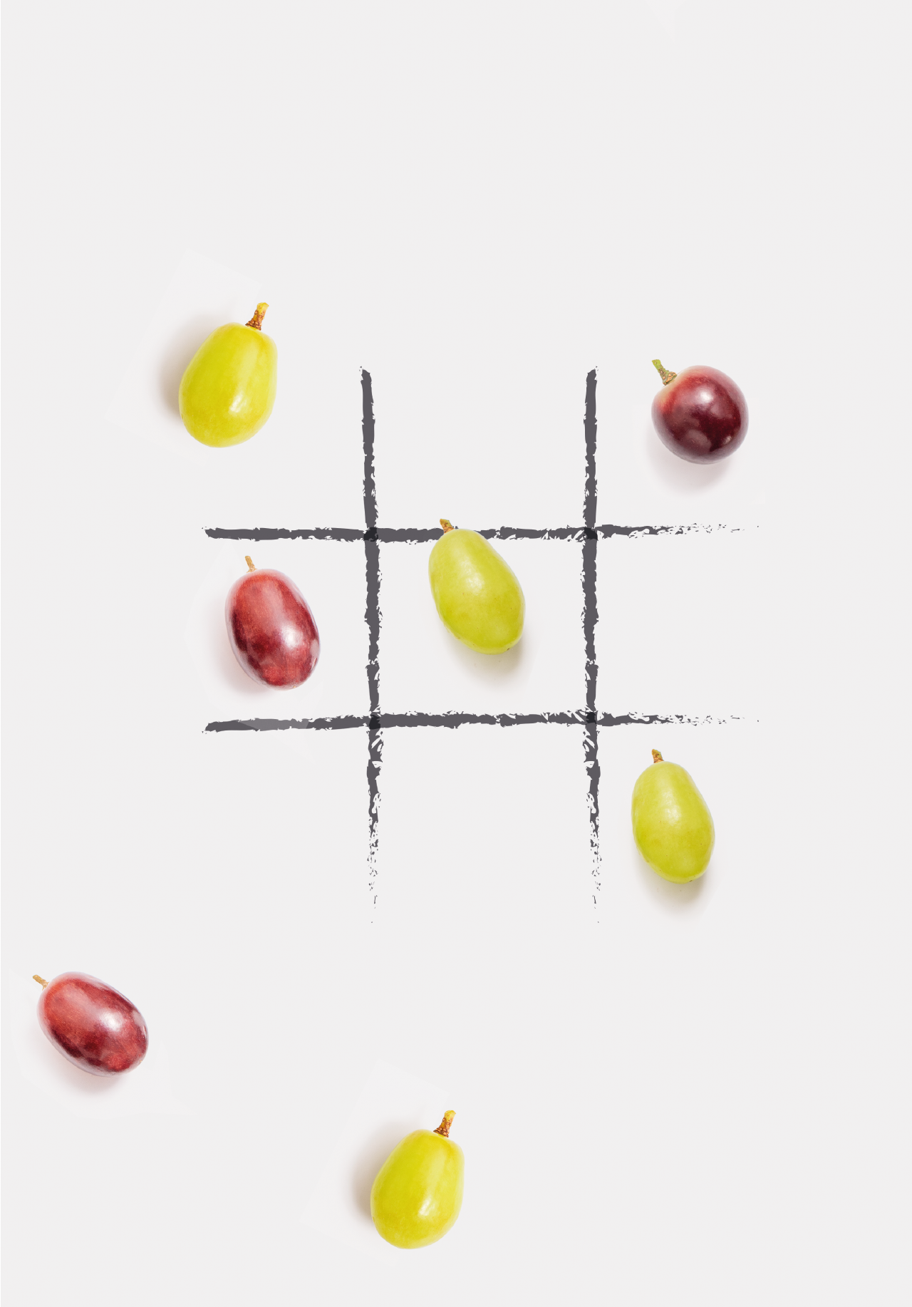 Memoria 25 años – Campos del Sur