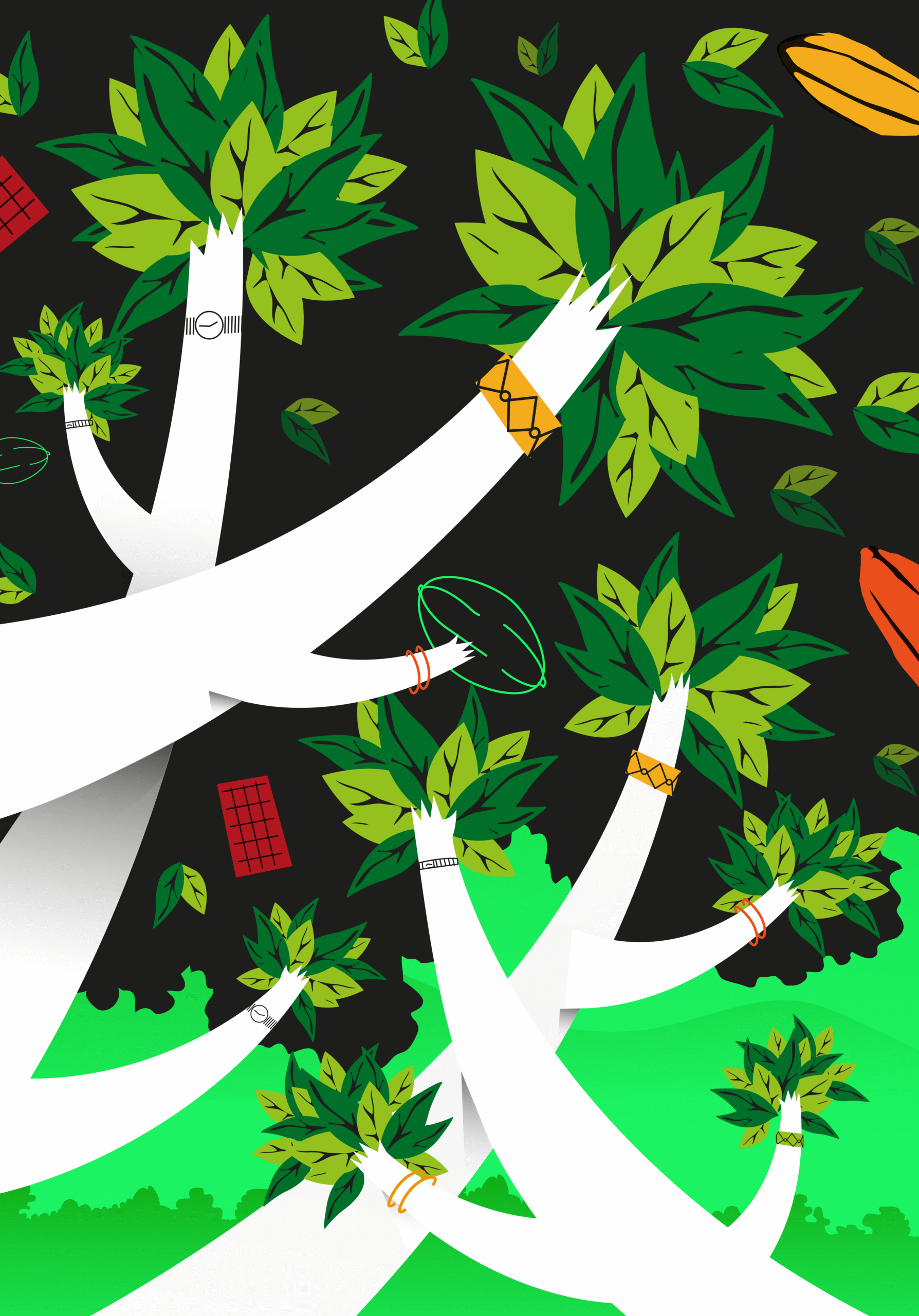 Alianza Cacao – Alianza Cacao