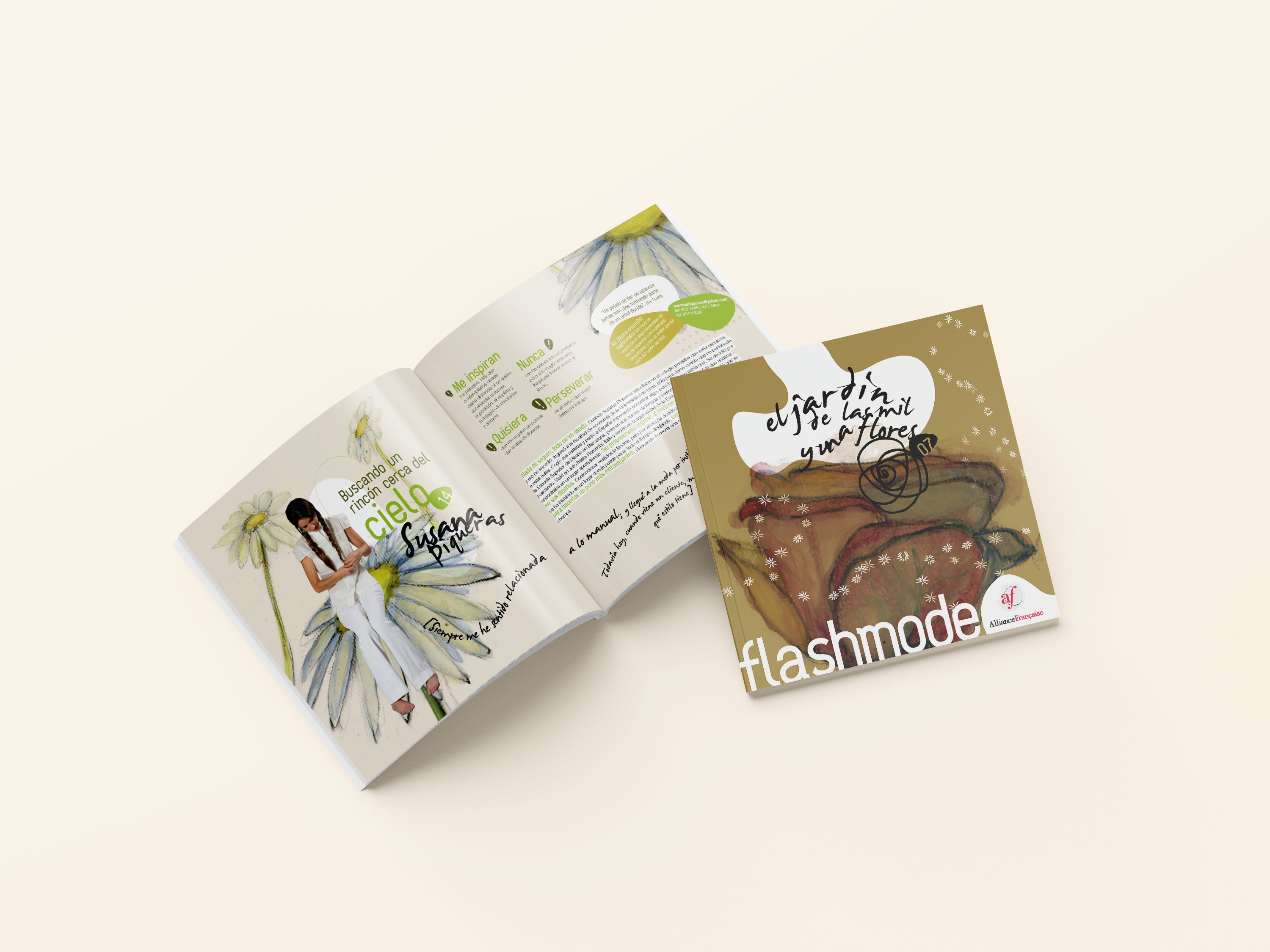 brochure 1